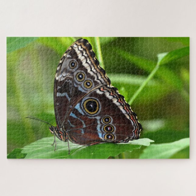Puzzle Papillon foncé assis sur la feuille (Horizontal)