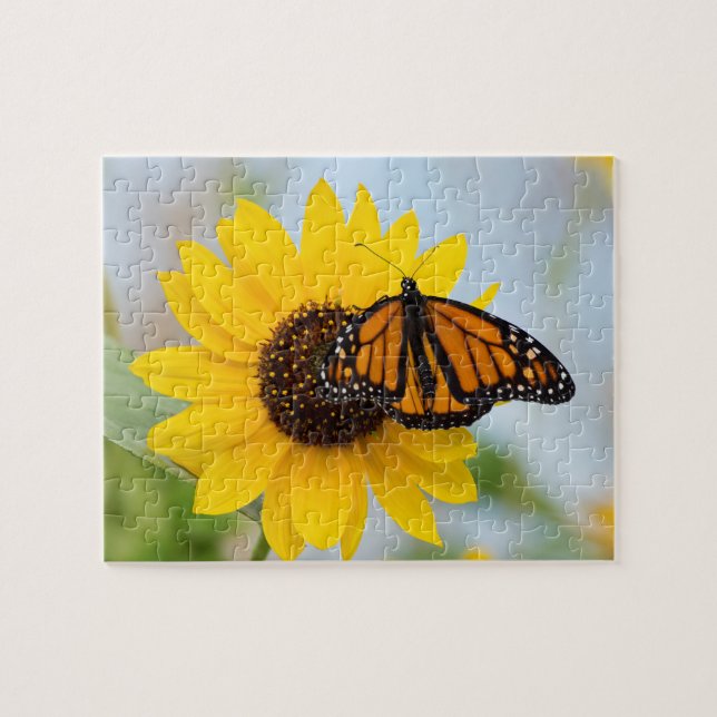 Puzzle Papillon monarque coloré Tournesol Photo (Horizontal)