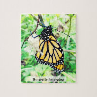Papillon Monarque Émergeant 110 Pièces