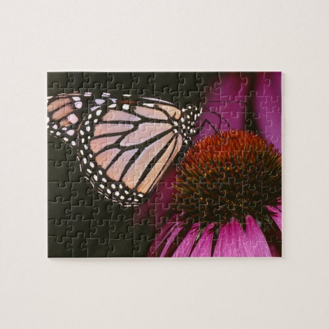 Puzzle Papillon monarque et fleurs pourpres (Horizontal)