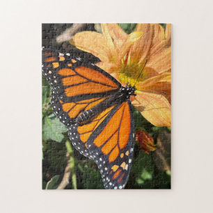 Puzzle Papillon monarque sur chrysanthème