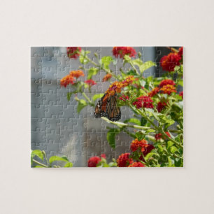 Puzzle Papillon monarque sur le papillon rouge Bush