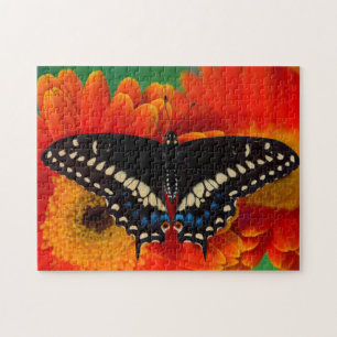 Puzzle Papillon noir à queue fourchue sur une marguerite