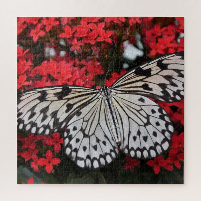 Puzzle Papillon noir et blanc sur Fleurs rouges (Vertical)