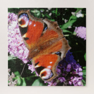 Puzzle Papillon Peacock Sur Bouddleia Mauve