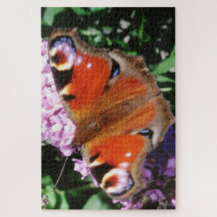 Puzzle Papillon Peacock Sur Bouddleia Mauve 20 x 30 1014