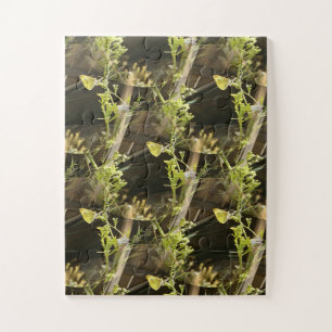 Puzzle Papillons amoureux.....
