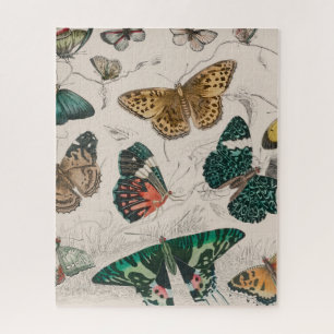 Puzzle Papillons Collection Antique Papillons