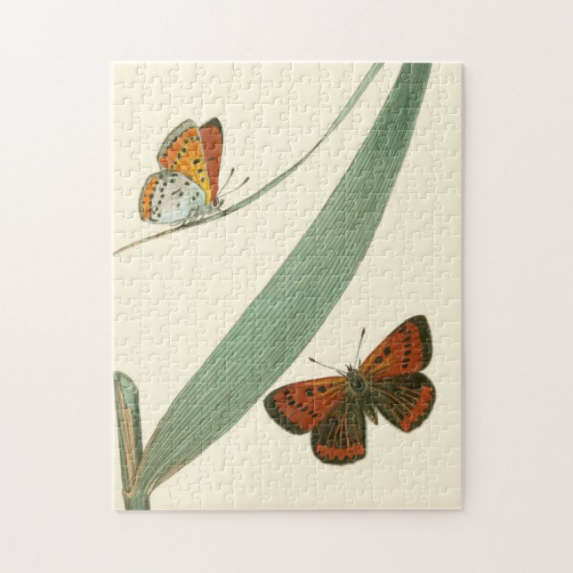 Puzzle Papillons colorés qui se drapent autour d'une feui (Vertical)