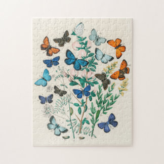 Puzzle Papillons et papillons