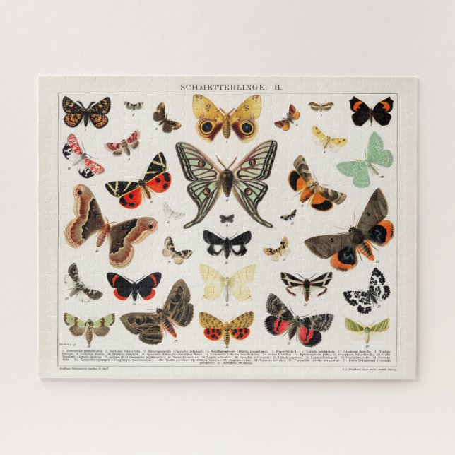 Puzzle Papillons et papillons de nuit d'antiquité Illustr (Horizontal)