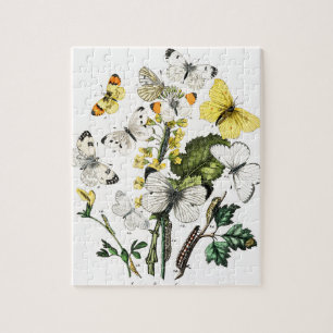 Puzzle Papillons vintages