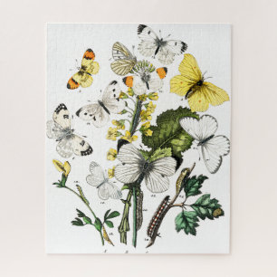 Puzzle Papillons Vintages