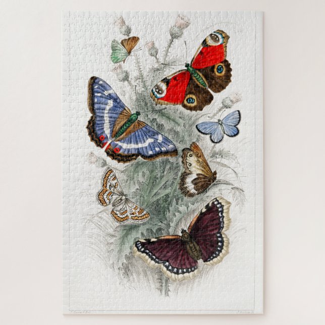 Puzzle Papillons vintages (Vertical)