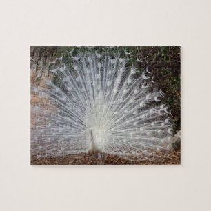 Puzzle Paradise Peacock