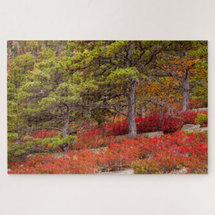 Puzzle Parc national d'Acadia, Maine