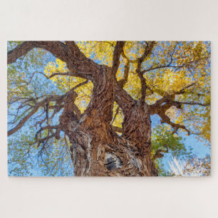 Puzzle Parc national de Capitol Reef, arbre Cottonwood