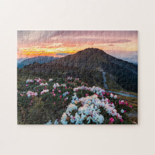 Puzzle Parc national de floraison du rhododendron  