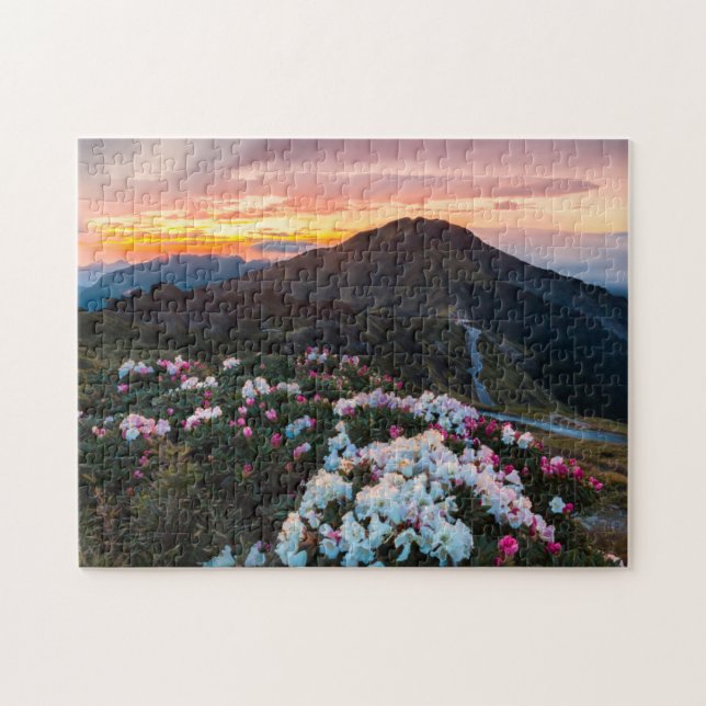 Puzzle Parc national de floraison du rhododendron | (Horizontal)