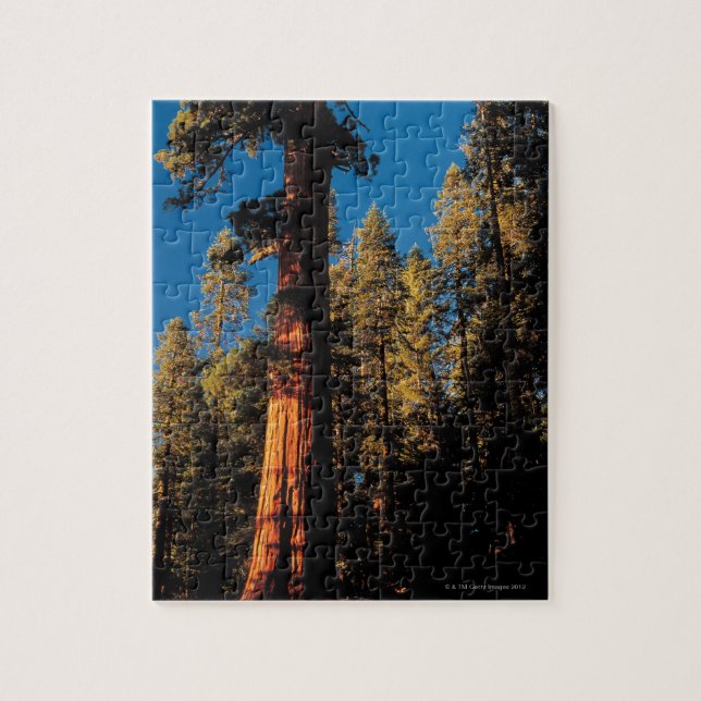 Puzzle Parc national de séquoia, la Californie 2 (Vertical)