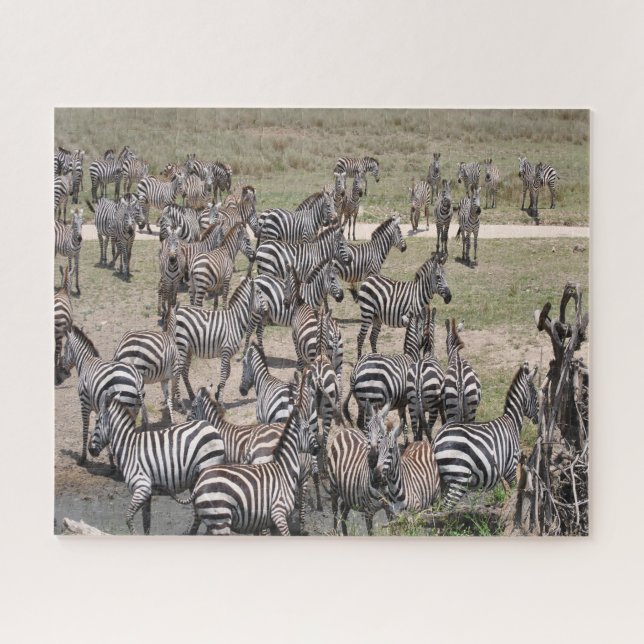 Puzzle Parc national de Tanzanie. (Horizontal)