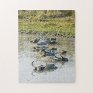 Puzzle Parc national de Water Buffalo Kaziranga.