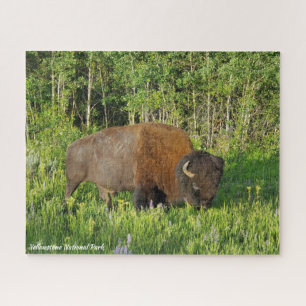 Puzzle Parc national de Yellowstone Bison