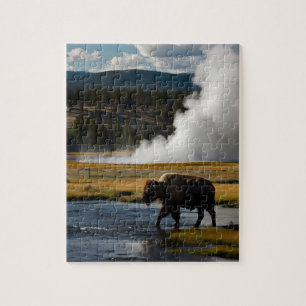 Puzzle Parc national de Yellowstone, USA