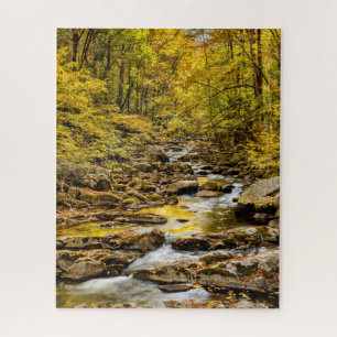 Puzzle Parc national des Great Smoky Mountains. Big Creek