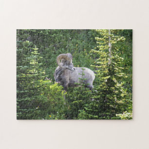 Puzzle Parc national du glacier de Jigsaw Montana.