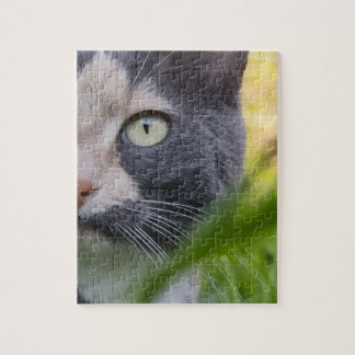 Puzzle Parmi les brins – Kobayashi dans le vert