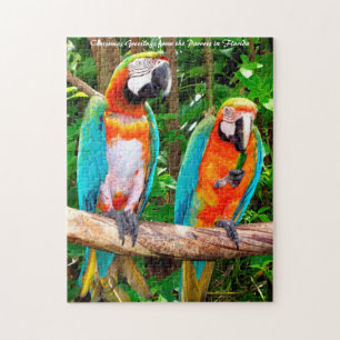 Puzzle Parrots Floride. voeux de Noël