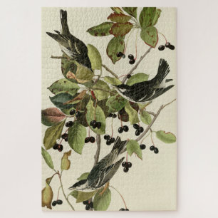 Puzzle Paruline à polle noire des oiseaux d'Amérique d'Au