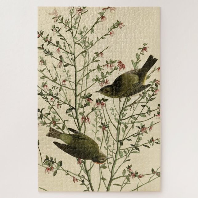 Puzzle Paruline orangée, Oiseaux d'Amérique d'Audubon (Vertical)