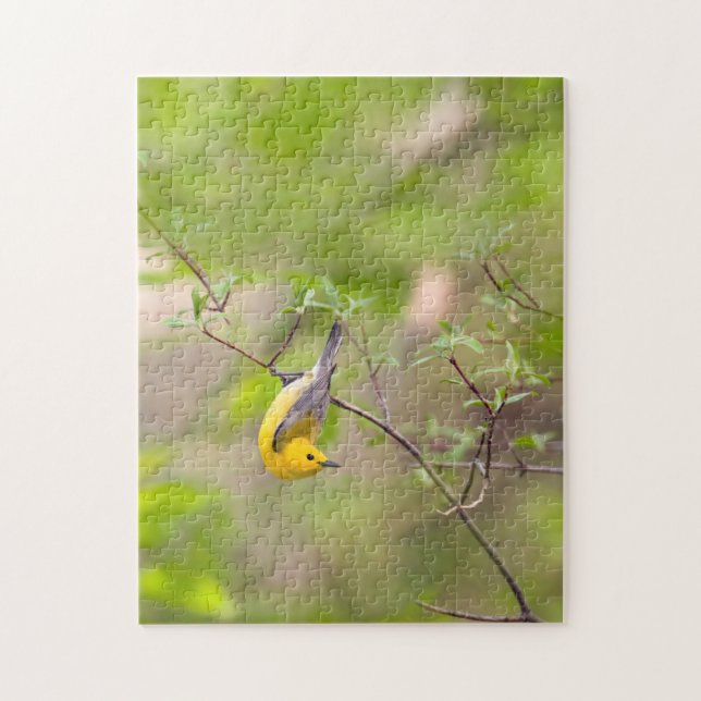 Puzzle Paruline protonotaire (Vertical)