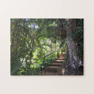 Puzzle Passage couvert par une forêt tropicale, Kauai,