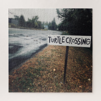 Puzzle passage des tortues