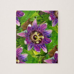 Puzzle Passionflower