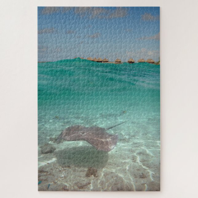 Puzzle Pastenague sous-marine dans Bora Bora (Vertical)