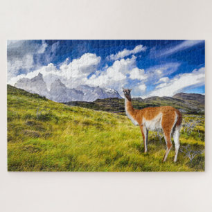 Puzzle Patagonia