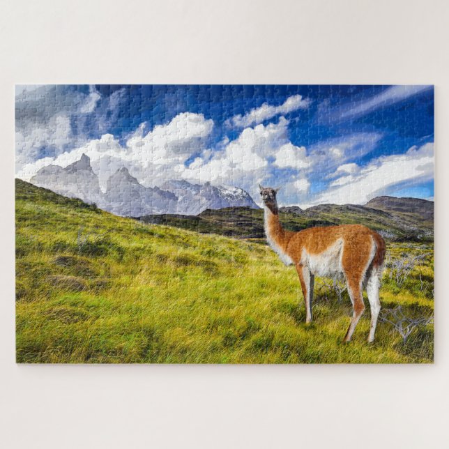 Puzzle Patagonie (Horizontal)