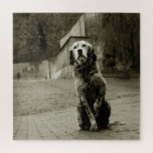 Puzzle Pauvre chien en attente
