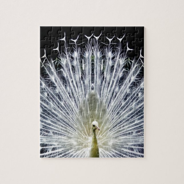 Puzzle Pavillon blanc Peacock Animalia (Vertical)