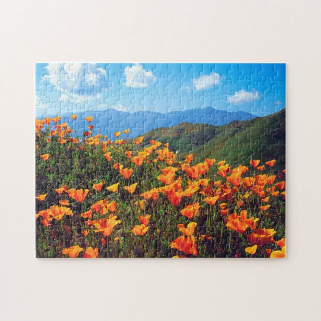 Puzzle Pavot de Californie recouvrant une colline (Horizontal)