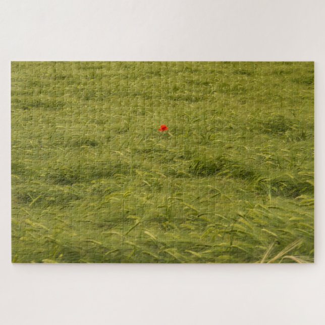 Puzzle Pavot solitaire dans un champ vert - Très difficil (Horizontal)