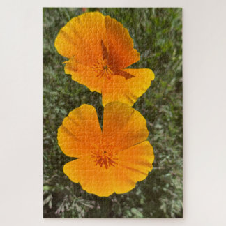 Puzzle Pavots de Californie dorés en fleurs, Oakland
