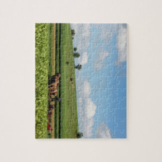 Puzzle Pays amish