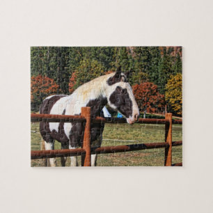 PUZZLE PAYS CHEVAL