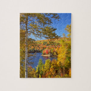 Puzzle Paysage arboré d'automne, Maine