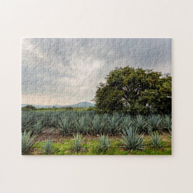 Puzzle Paysage avec l'agave bleu (Horizontal)